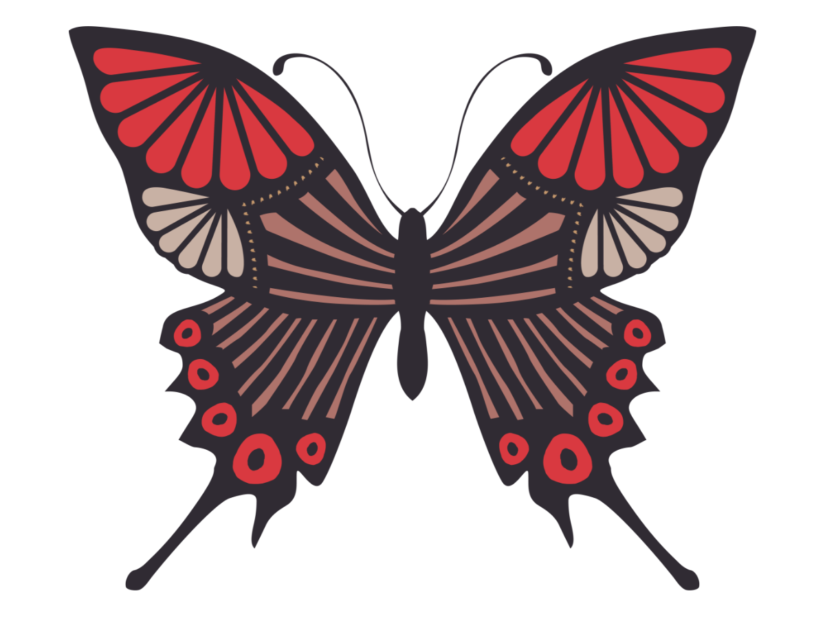 舞台公演「いずこをはかと」蝶イラスト1